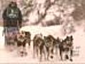 New Jersey Woman Trains Locally For Iditarod