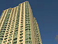 Stock Video Pan Up to Tree Branches and a Building in Jersey City,  New Jersey Royalty-Free HD Footage