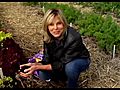 How to Make a Compost Heap at Home