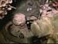 American Troops Return Home From Iraq