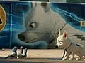 Bolt
