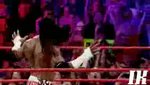 WWE Booker T Entrande Vidéo