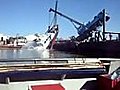 Boat kills crane