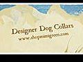 Designer dog collars and acessories