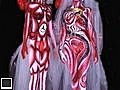 body painting retouche