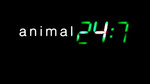 Animal 24:7: Series 7: Episode 14