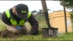 Gardener Helps Reclaim SF Parks From Gophers