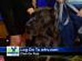 'Daisy May' - Great Dane - #3776370