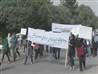 Afghan women protest harassment