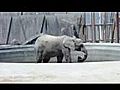 安佐動物公園の動物たち 1/2