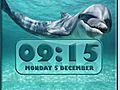 Dolphin Alarm Clock