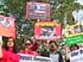 Delhi: Activists protest culling of dogs