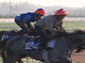 Meydan racetrack one of a kind