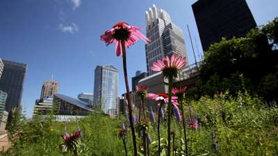 Tribune Pictures of the Day Wednesday July 13,  2011