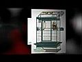 Perfect Parrot Cages For Your Beloved Parrot