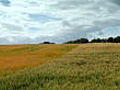 Seasonal farmland time lapse