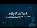 Malibu JellyFish Tank