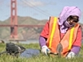 This Is Crissy Field