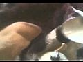 slow motion tongue action
