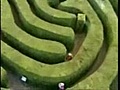 Trapped In Hedge Maze