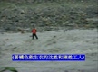 林內河水暴漲 2名工人受困獲救
