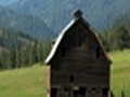 Old barn with birds