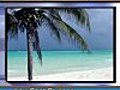 Carnival Cruises - Last Minute Deals