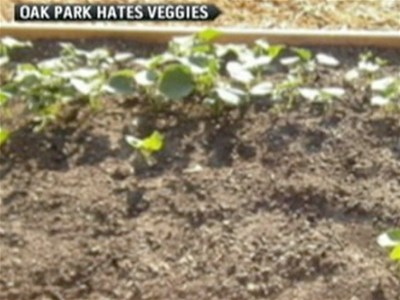 Woman faces jail for planting vegetable garden