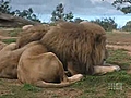 Werribee Slumber Safari