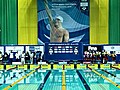 2010 FINA World Cup Moscow: Day 2