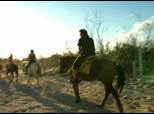 Selvatica Zip And Horseback Riding