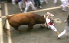 Seven injured in Pamplona bull run