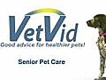 Learn about Senior Pet Care