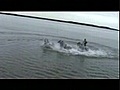 Eleveur dresseur de chevaux en Camargue. Admirable
