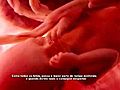 Desenvolvimento Fetal