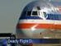 Questions Linger Over Dogs' Deaths In American Jet