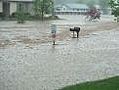 iWitness: Flash flood fills street