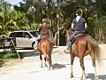 Royalty Free Stock Video HD Footage Riders and Horses Leave on a Ride at a Ranch in Ft. Lauderdale,  Florida