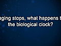 Curiosity: Aubrey de Grey: Aging and the Biological Clock