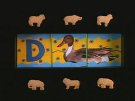 The African Animal Box