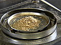 How It’s Made: Wood Pellets