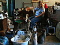 Confessions: Animal Hoarding: 80 Cats and a Baby
