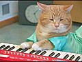 The Keyboard Cat Is Back