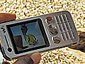 Mobile Phones Teach Farmers New Techniques