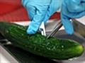 Spanish cucumber warning lifted