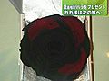 菅首相、レディー・ガガさんにバラの花プレゼント　被災地支援に感謝の意