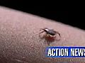 VIDEO: Debate heats up over Lyme Disease