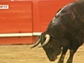 Spain: The beginning of the end of bullfighting in Catalonia