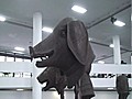 Bienal de Sao Paulo sale del 
