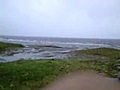 20090621_雨の海浜公園（かなりの強風）